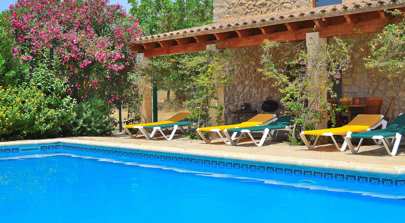 Photo of Palms & Vines