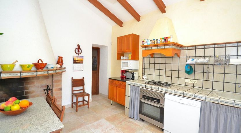 Photo of Palms & Vines