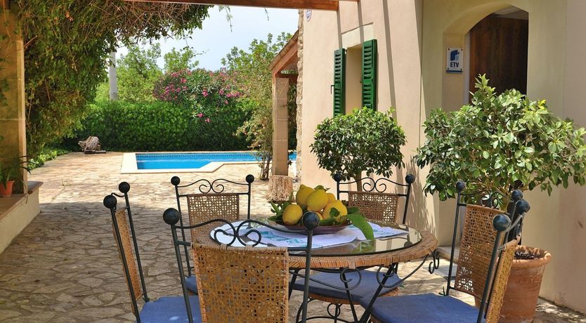 Photo of Palms & Vines