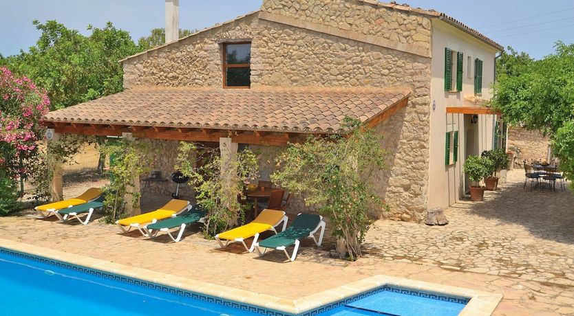 Photo of Palms & Vines