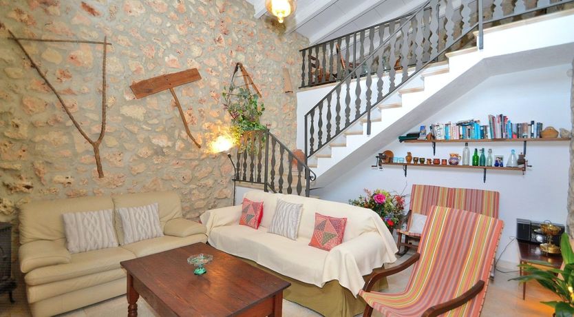 Photo of Palms & Vines