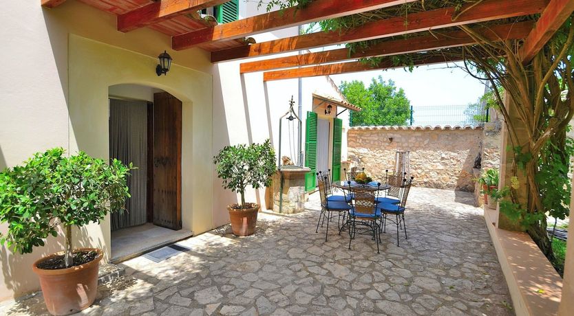 Photo of Palms & Vines