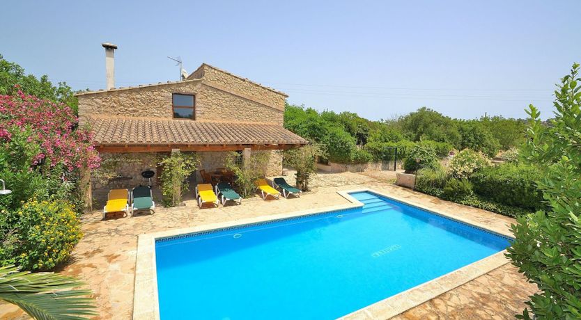 Photo of Palms & Vines