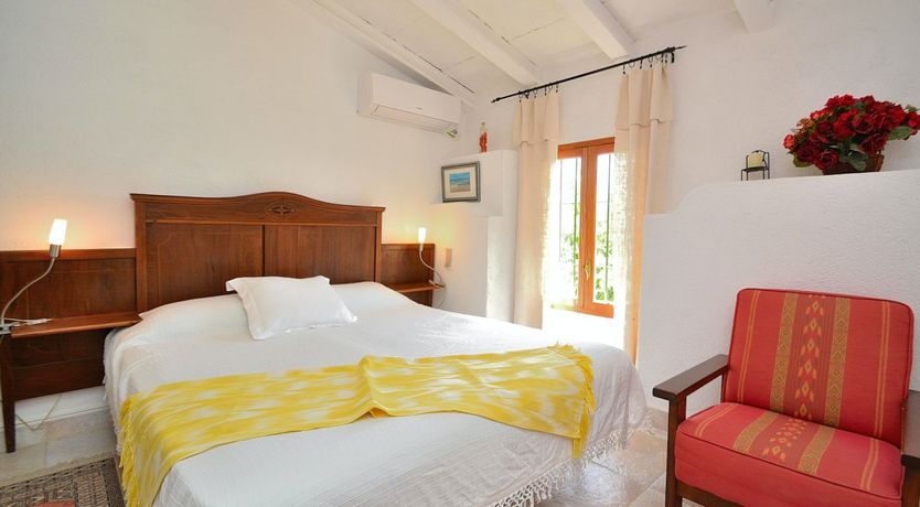 Photo of Palms & Vines