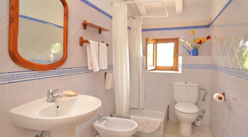 Photo of Palms & Vines