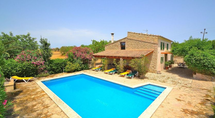 Photo of Palms & Vines