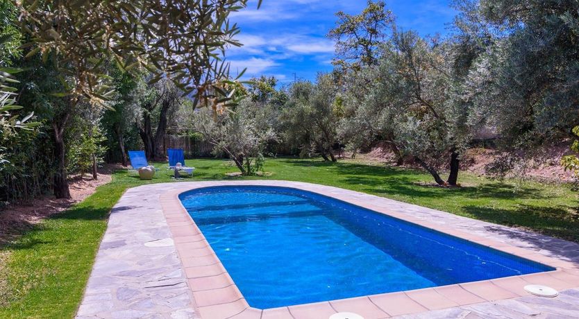 Photo of Into the Valley