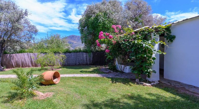 Photo of Into the Valley