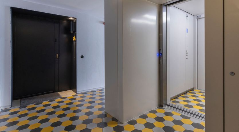 Photo of Yellow Linaria