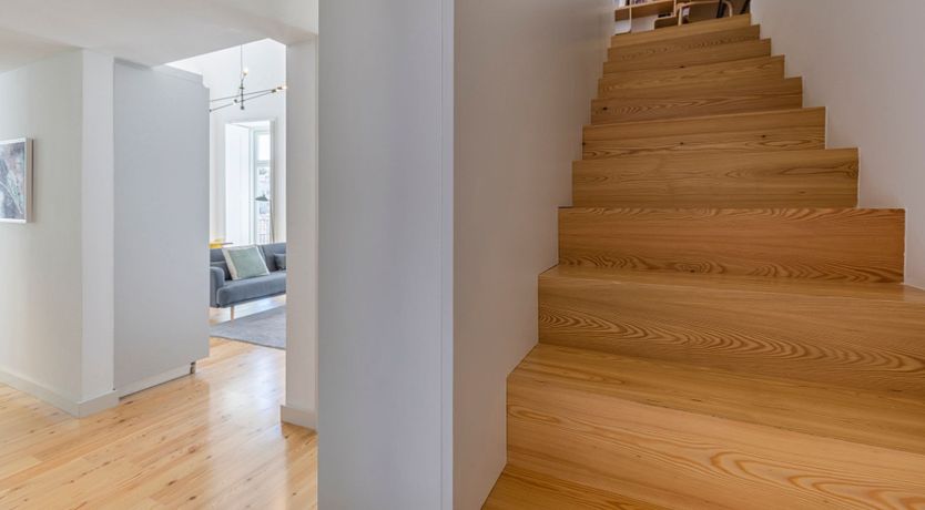 Photo of Yellow Linaria