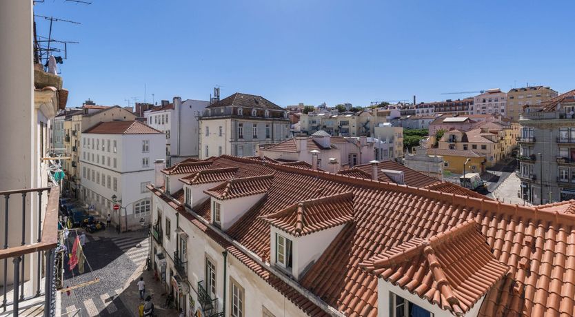 Photo of Yellow Linaria