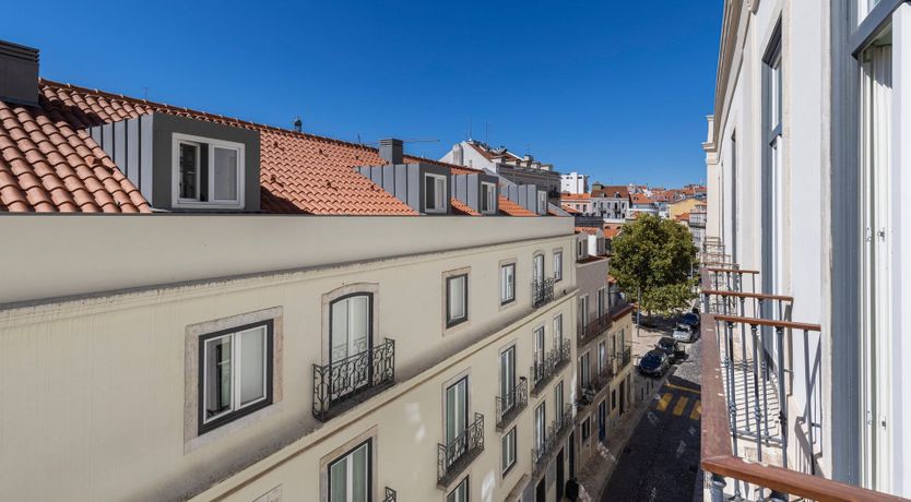 Photo of Yellow Linaria