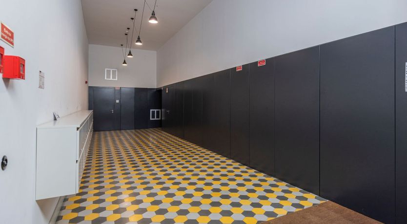 Photo of Yellow Linaria