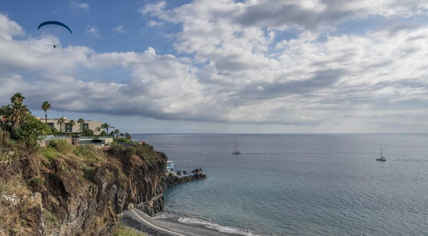 Photo of Palms by the Sea