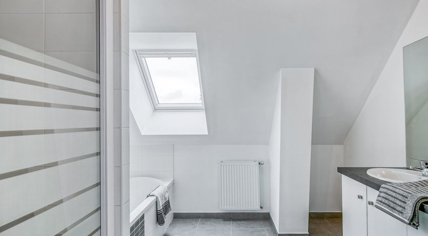 Photo of Driftwood Dream