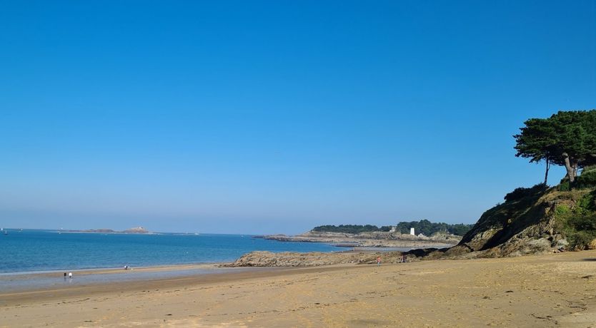 Photo of Driftwood Dream
