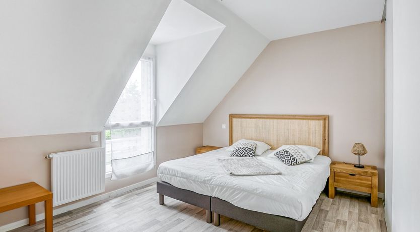 Photo of Driftwood Dream