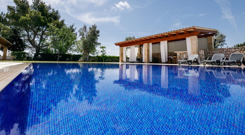 Photo of Cypress & Pine