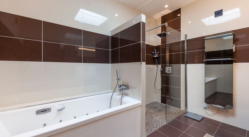 Photo of Cicada & Colour