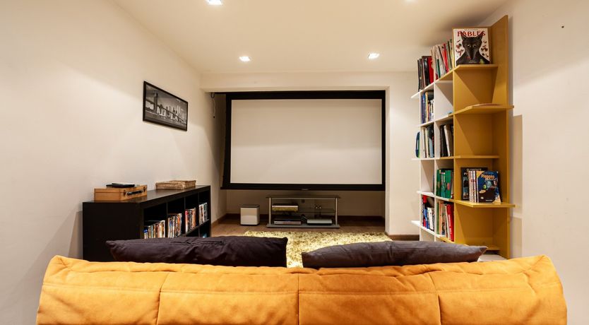 Photo of Cicada & Colour