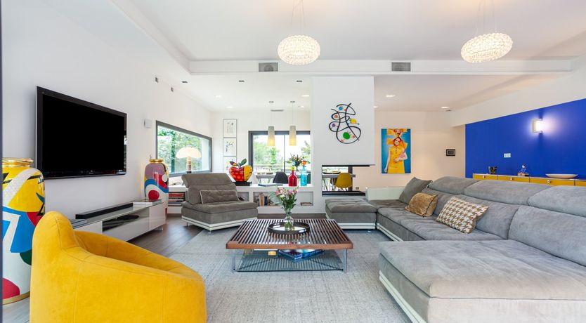 Photo of Cicada & Colour