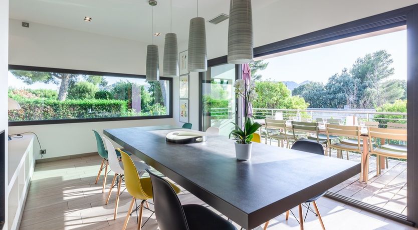 Photo of Cicada & Colour