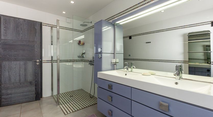 Photo of Cicada & Colour