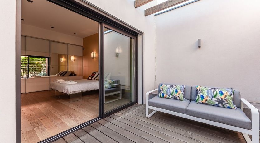 Photo of Cicada & Colour