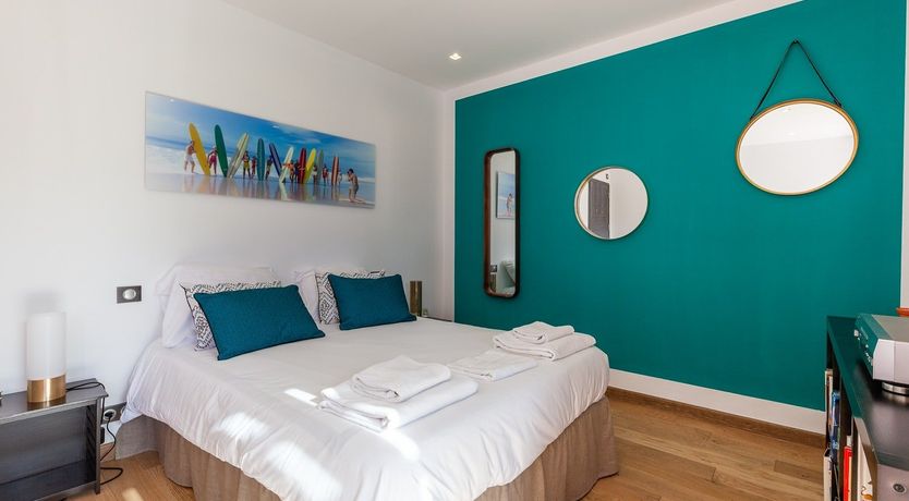 Photo of Cicada & Colour