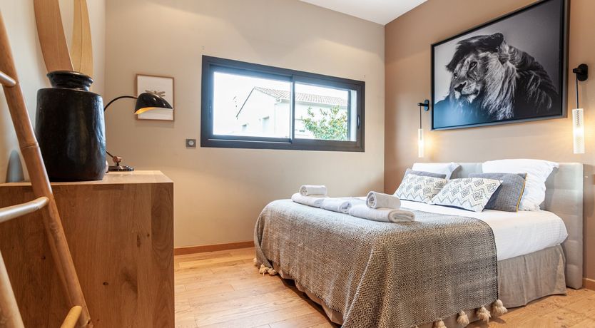 Photo of Cicada & Colour