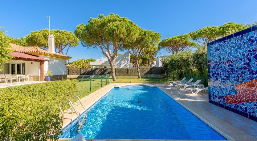 Photo of Pine Leaf Breeze