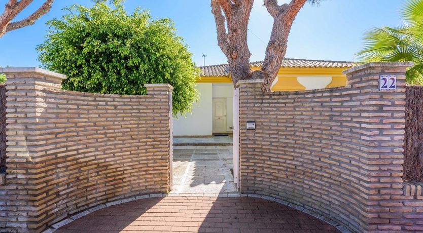 Photo of Pine Leaf Breeze