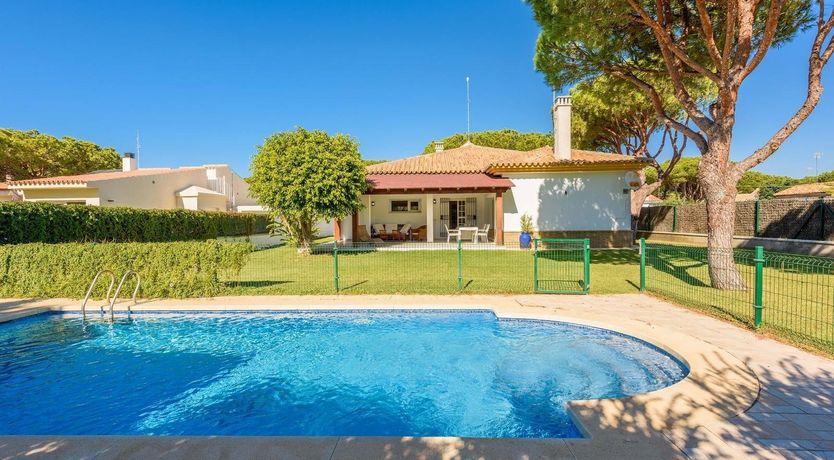 Photo of Pine Leaf Breeze