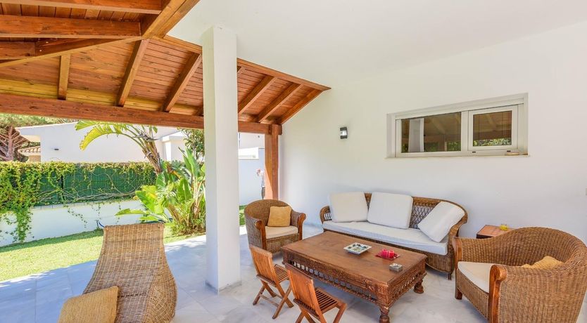 Photo of Pine Leaf Breeze