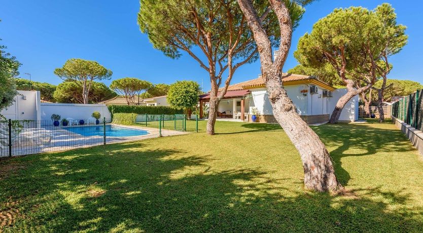 Photo of Pine Leaf Breeze