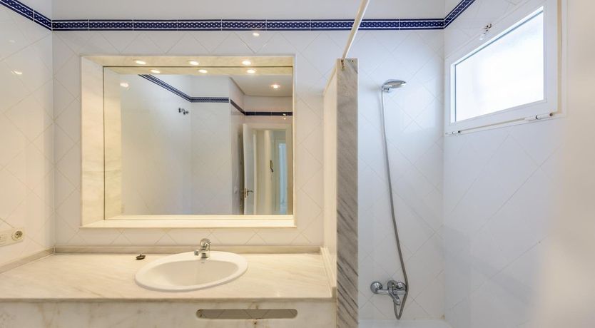 Photo of Pine Leaf Breeze