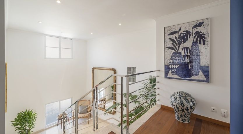 Photo of The Work of Picasso