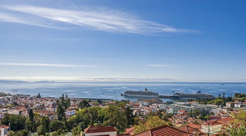 Photo of The Work of Picasso