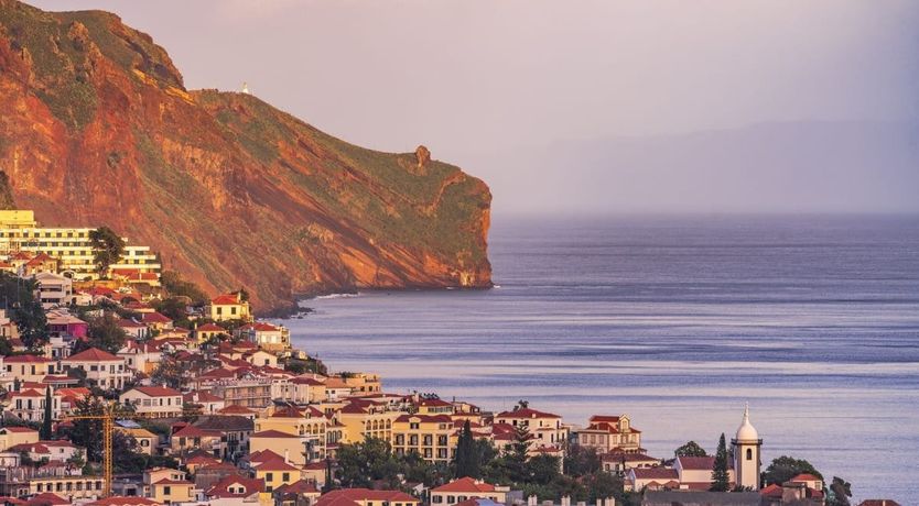 Photo of The Work of Picasso