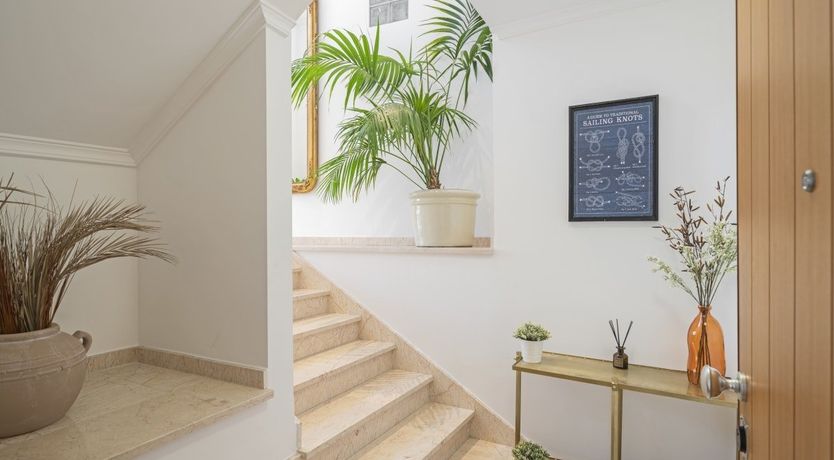 Photo of The Work of Picasso