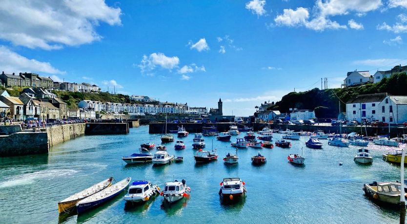 Photo of Stargazy in the Oven