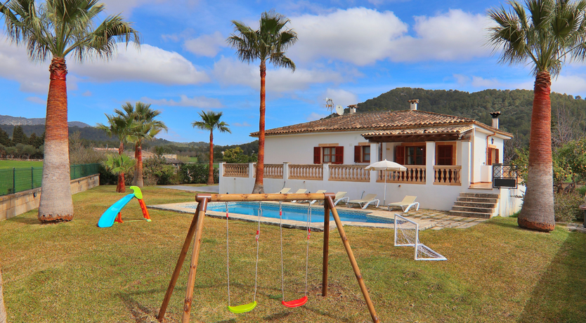 Photo of The Dancing Palm