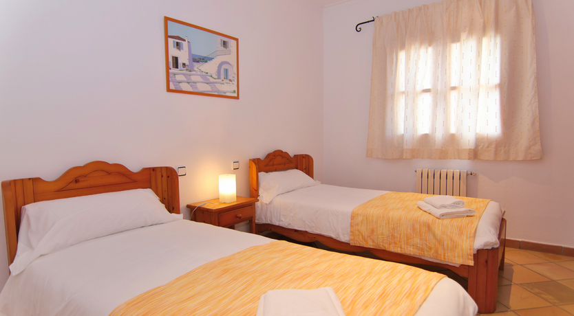 Photo of The Dancing Palm