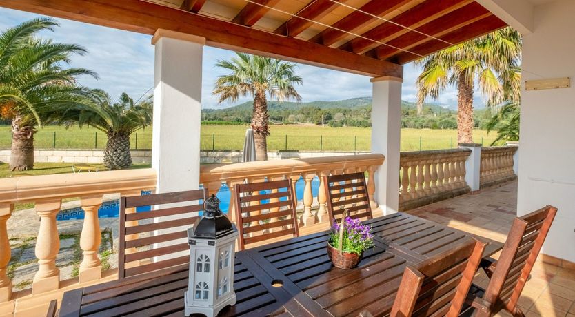 Photo of The Dancing Palm