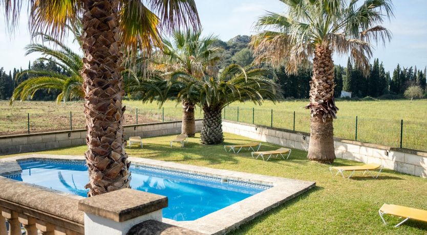 Photo of The Dancing Palm