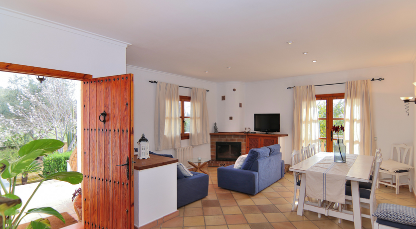 Photo of The Dancing Palm