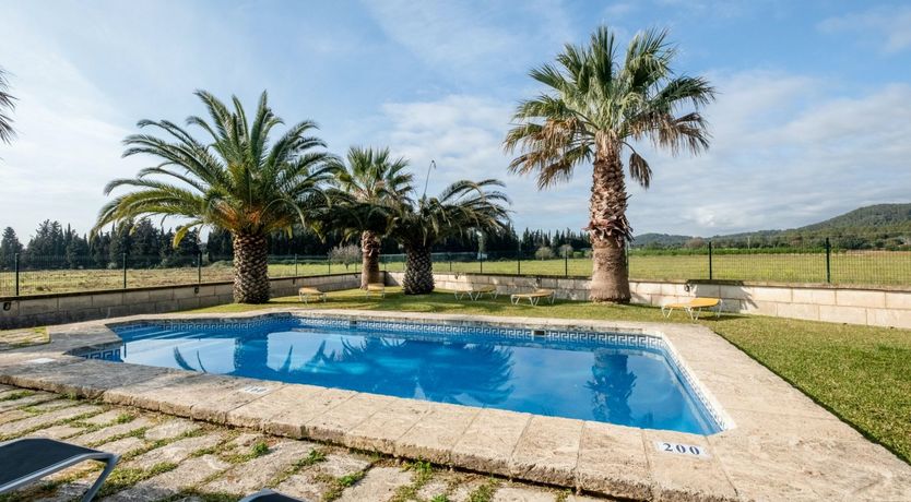 Photo of The Dancing Palm