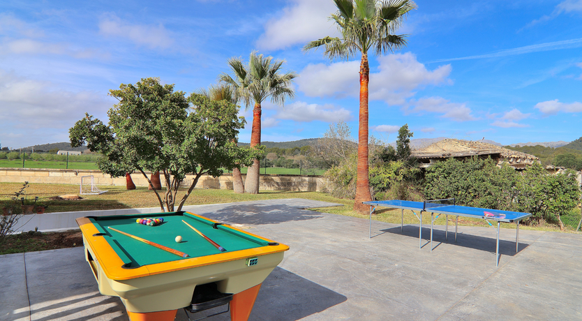 Photo of The Dancing Palm