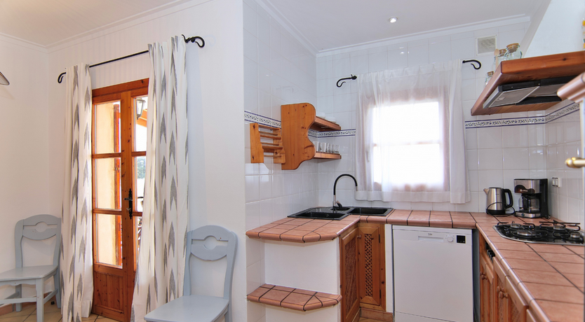 Photo of The Dancing Palm