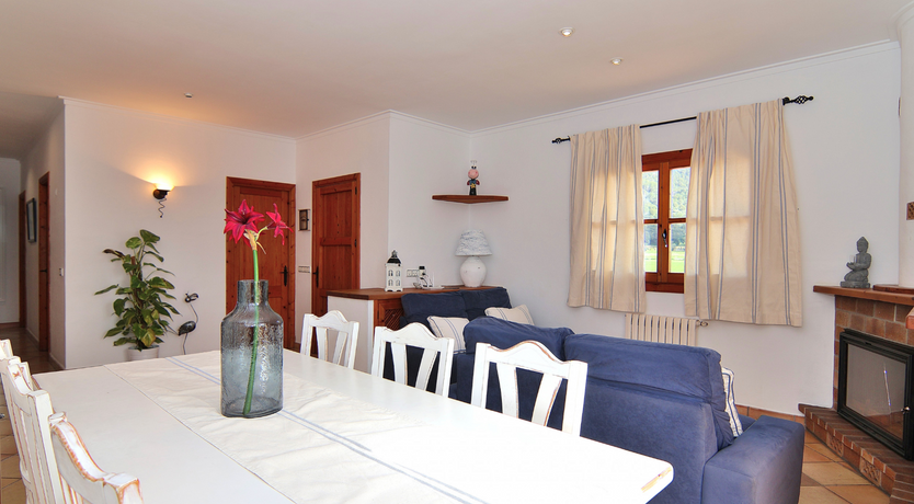 Photo of The Dancing Palm